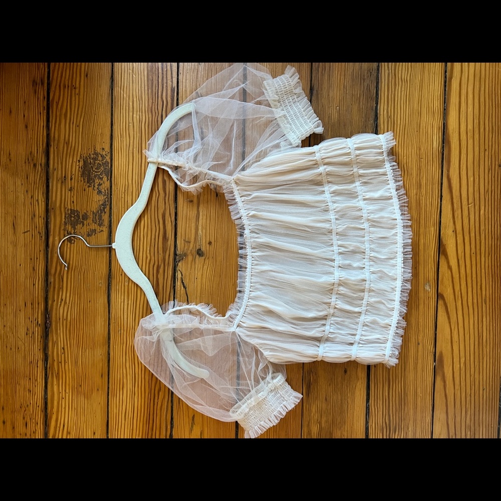 Alice and Olivia Crop Top